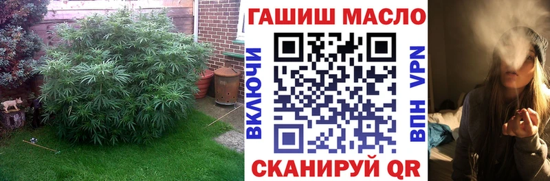 ОМГ ОМГ ссылка где купить наркотик маркетплейс телеграм ТГК жижа Лаишево